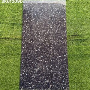 Gạch 60x120 Ấn Độ mã SK61209D