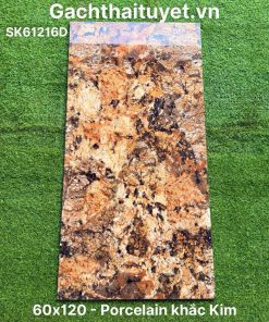 Gạch 60x120 Ấn Độ mã SK61216D