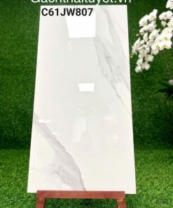 Gạch 60x120 Grand mã C61JW807