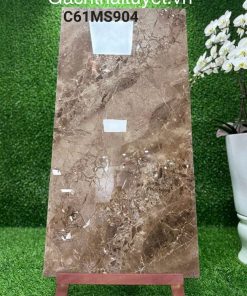 Gạch 60x120 Grand mã C61MS904