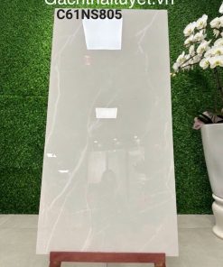 Gạch 60x120 Grand mã C61NS805