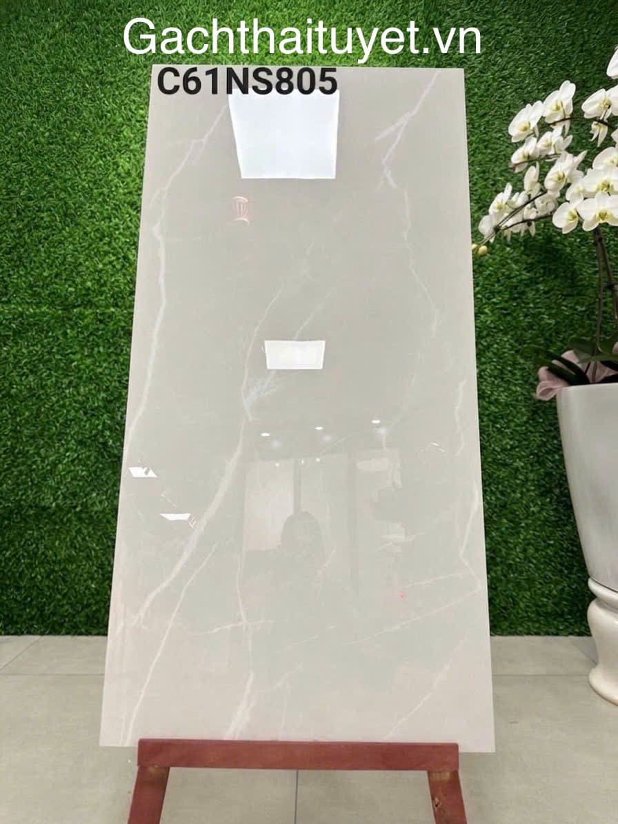 Gạch 60x120 Grand mã C61NS805