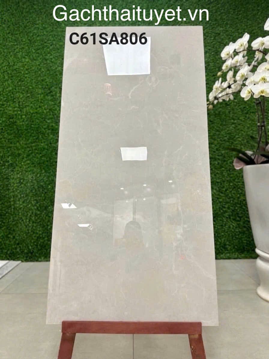 Gạch 60x120 Grand mã C61SA806