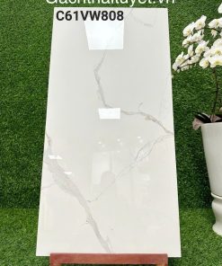 Gạch 60x120 Grand mã C61VW808