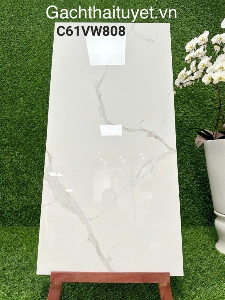 Gạch 60x120 Grand mã C61VW808