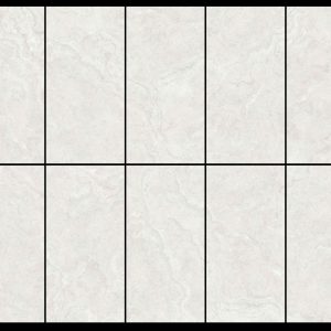 Gạch 60x120 MALAYSIA mã D-12041