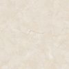 Gạch 60x120 MALAYSIA mã D-12308