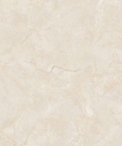 Gạch 60x120 MALAYSIA mã D-12308