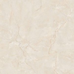 Gạch 60x120 MALAYSIA mã D-12308