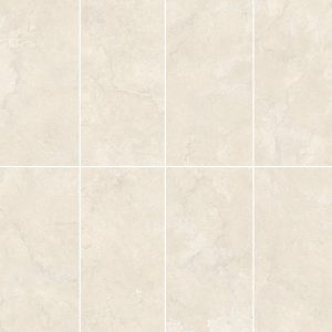 Gạch 60x120 MALAYSIA mã D-M12030