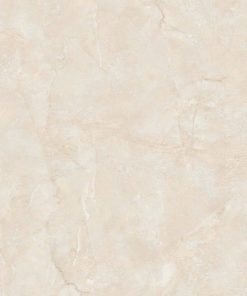 Gạch 60x120 MALAYSIA mã D-R12308 Men Matt