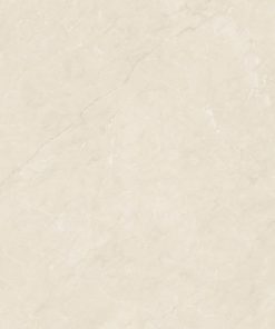 Gạch 60x120 MALAYSIA mã D12025 men bóng