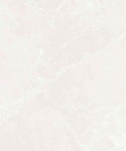 Gạch 60x120 MALAYSIA mã EV6262WX Men Matt
