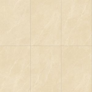 Gạch 60x120 MALAYSIA mã HRL12023 SATIN