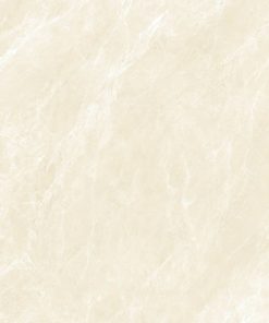 Gạch 60x120 Molalisa mã MM62003 Men Matt