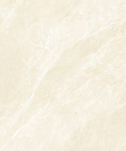 Gạch 60x120 Molalisa mã MM62003 Men Matt