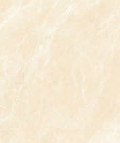 Gạch 60x120 Molalisa mã MP62003 Men Bóng