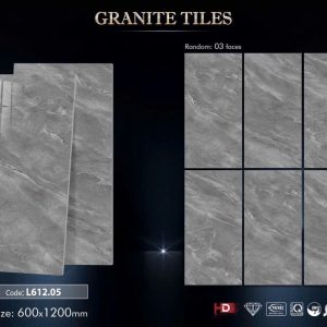 Gạch 60x120 TDA mã L612.05 Men Bóng