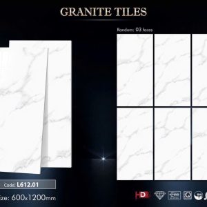 Gạch 60x120 TDA mã L61201 Men Bóng