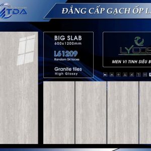 Gạch 60x120 TDA mã L61209 Men Siêu Bóng