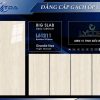 Gạch 60x120 TDA mã L61211 Men Siêu Bóng