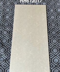 Gạch 60x120 Trung Quốc mã HH612017