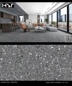 Gạch 60x120 Trung Quốc mã TZ61201