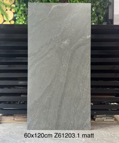 Gạch 60x120 Trung Quốc mã Z61203.1 Men Matt
