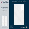 Gạch 60x120 VAZICA mã VA612001 Men Siêu Bóng