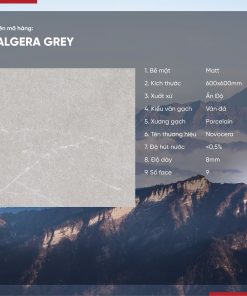 Gạch 60x60 Ấn Độ Novocera mã ALGERA GREY Men Matt