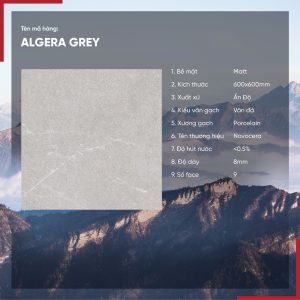 Gạch 60x60 Ấn Độ Novocera mã ALGERA GREY Men Matt