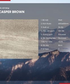 Gạch 60x60 Ấn Độ Novocera mã CASPER BROWN Men Matt