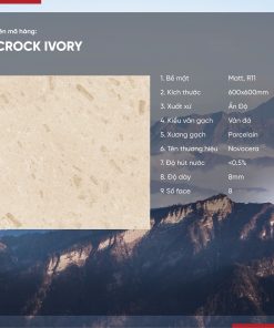 Gạch 60x60 Ấn Độ Novocera mã CROCK IVORY Men Matt