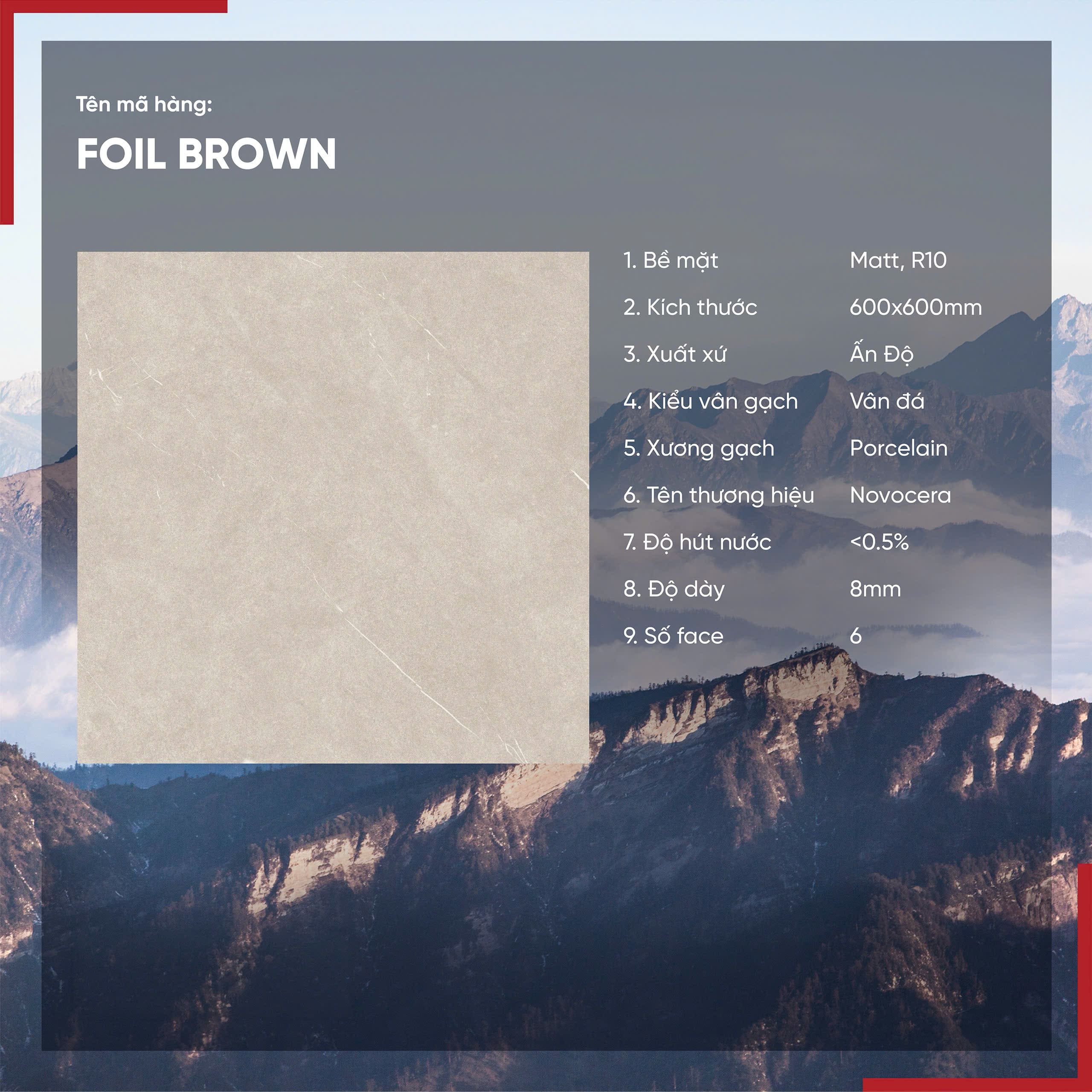 Gạch 60x60 Ấn Độ Novocera mã FOIL BROWN Men Matt
