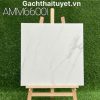 Gạch 60x60 Grand mã AMM66001