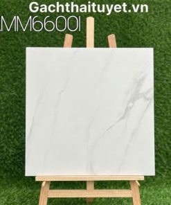 Gạch 60x60 Grand mã AMM66001