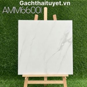 Gạch 60x60 Grand mã AMM66001