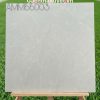 Gạch 60x60 Grand mã AMM66003