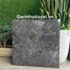Gạch 60x60 Grand mã AMP66004