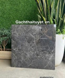 Gạch 60x60 Grand mã AMP66004
