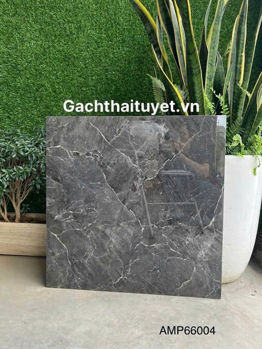 Gạch 60x60 Grand mã AMP66004