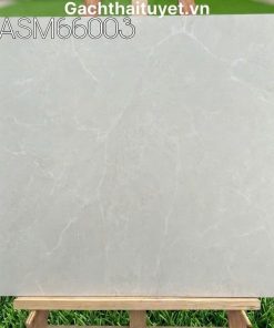Gạch 60x60 Grand mã ASM66003