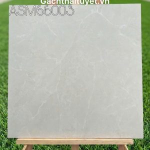 Gạch 60x60 Grand mã ASM66003