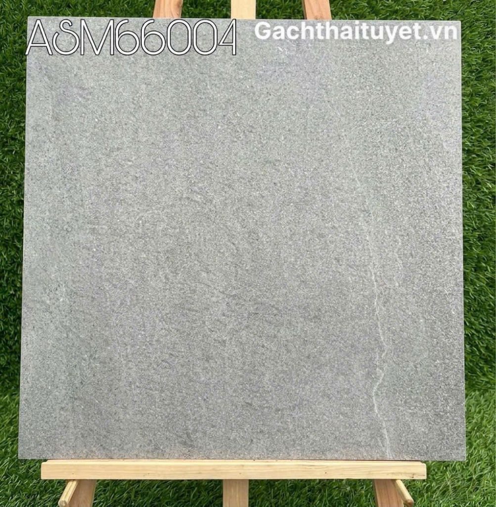 Gạch 60x60 Grand mã ASM66004