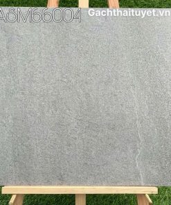 Gạch 60x60 Grand mã ASM66004