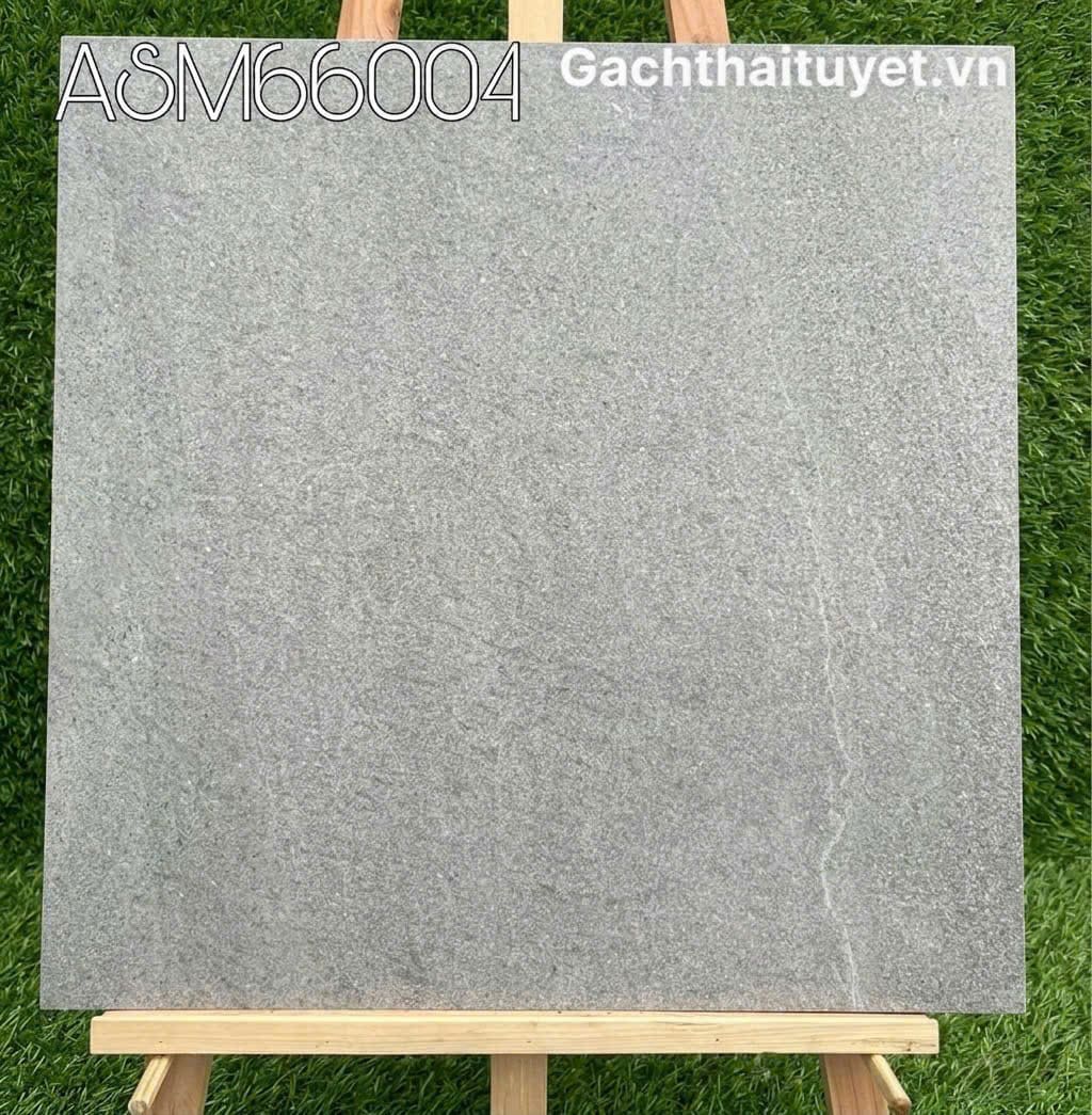 Gạch 60x60 Grand mã ASM66004