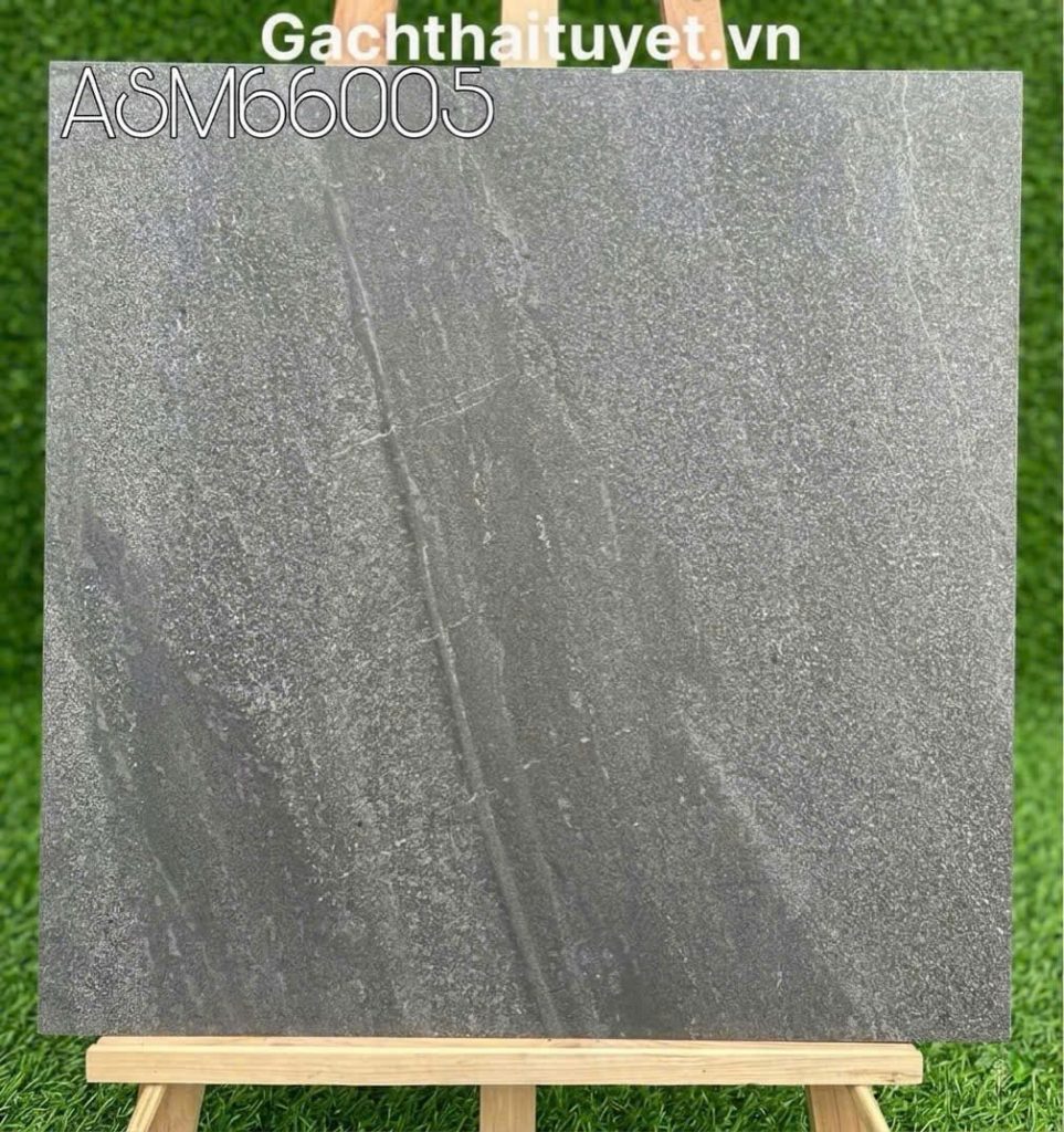 Gạch 60x60 Grand mã ASM66005