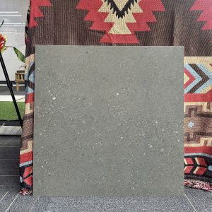 Gạch 60x60 MALAYSIA mã D-M66009 Men Matt
