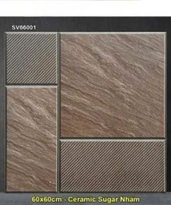 Gạch 60x60 TTC SV66001 Lát Sân