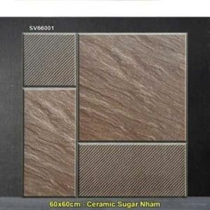 Gạch 60x60 TTC SV66001 Lát Sân